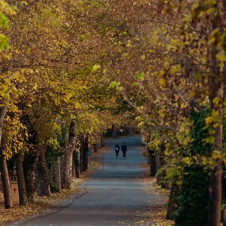 Appartement Lea's - Cozy With Mountain View Vitina