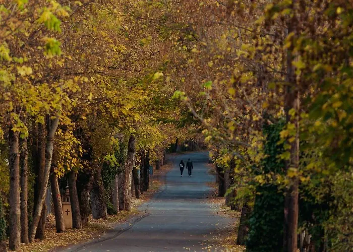 Апартаменты Lofts - Cozy 2-level Loft With Fireplace & Mountain Views Витина